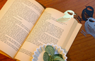 torico_bookmark